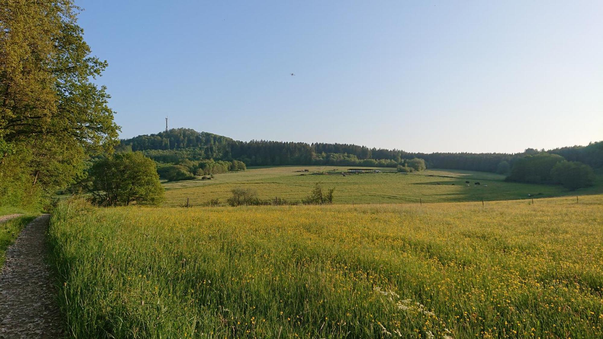 Ferienwohnung Am Hochkelberg Bereborn Экстерьер фото